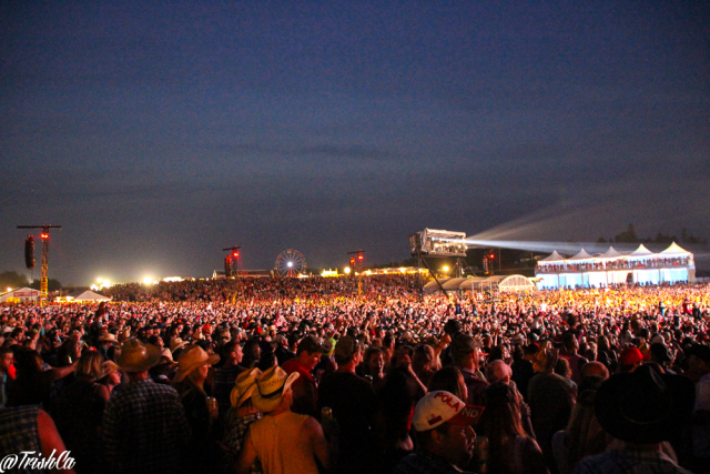 Boots and Hearts 2014 Night Crowd