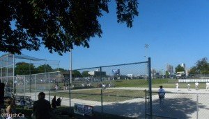 CNE 2013 PeeWee Baseball