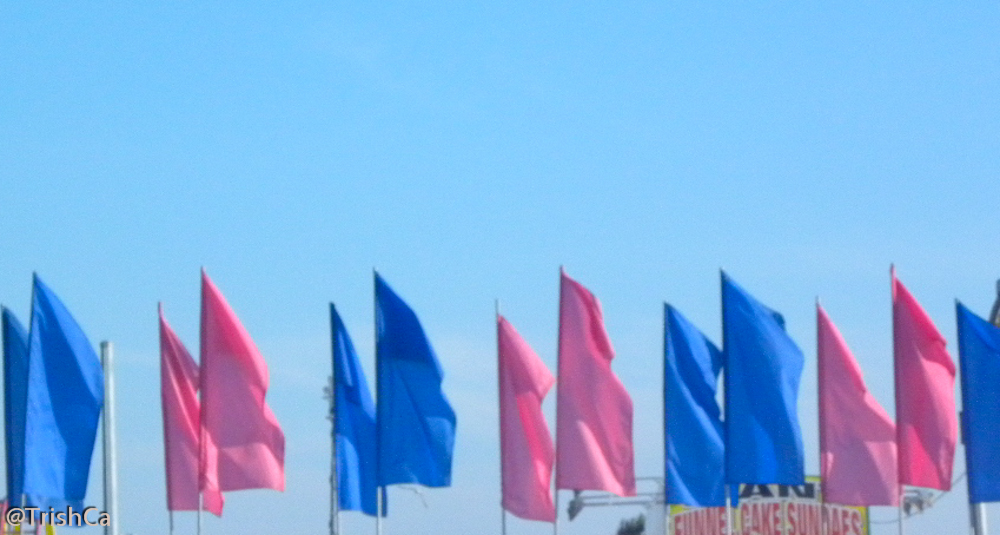 CNE 2013 flags