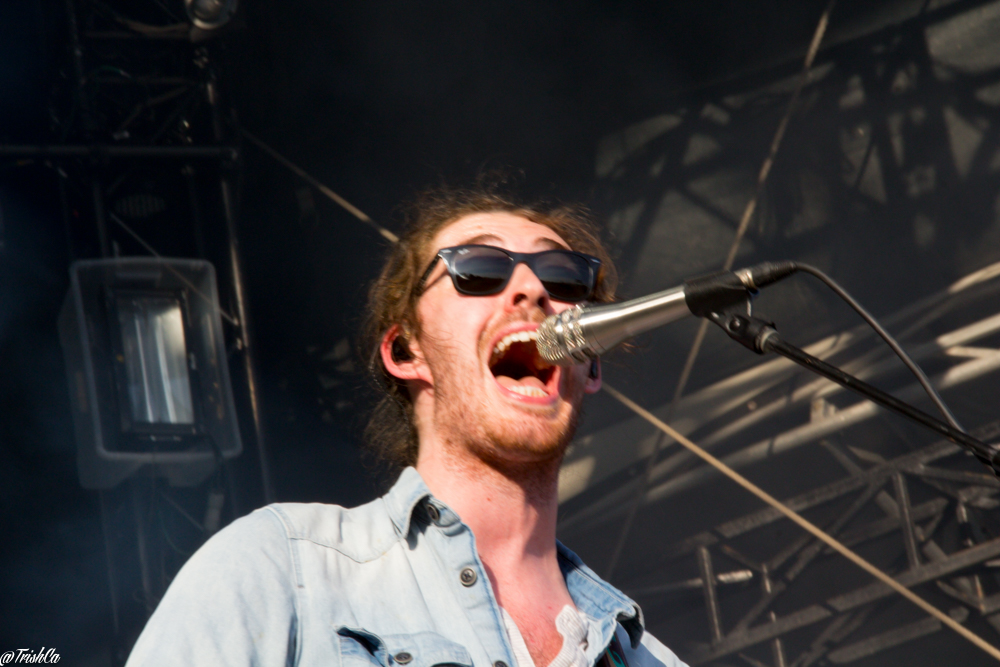 Hozier WayHome Arts and Music Festival