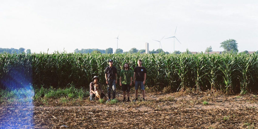 1971 guys in a cornfield with windmills in the background