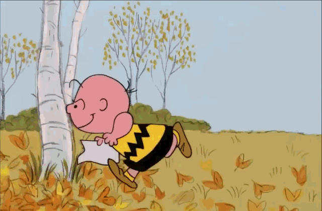 Charlie-Brown-Lucy-Football-gif.gif