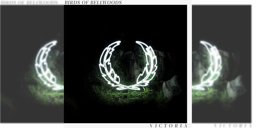 Birds of Bellwoods - Victoria Album Review