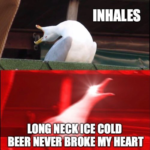 Luke Combs Beer Never Broke My Heart Seagull Meme