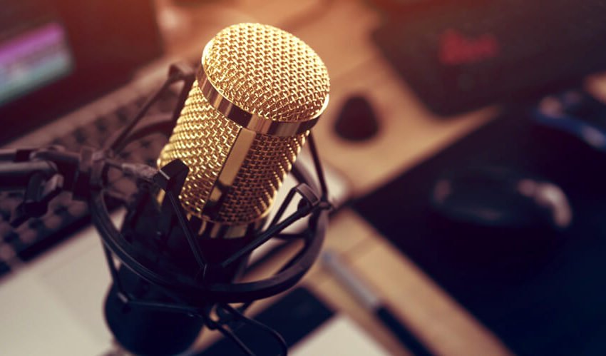 Things To Consider When Choosing A Mic For Your Home Studio |  thereviewsarein
