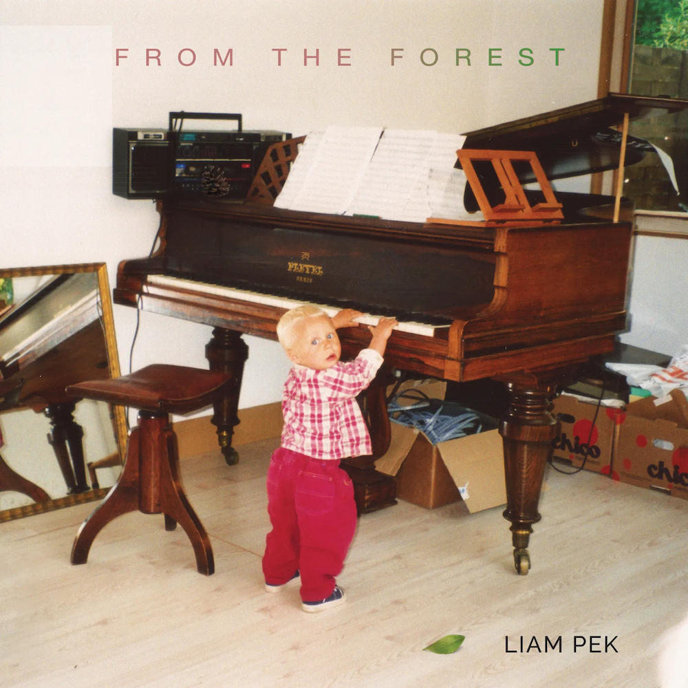 Liam Pek From the Forest Album Art