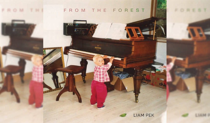 Liam Pek From the Forest Feature